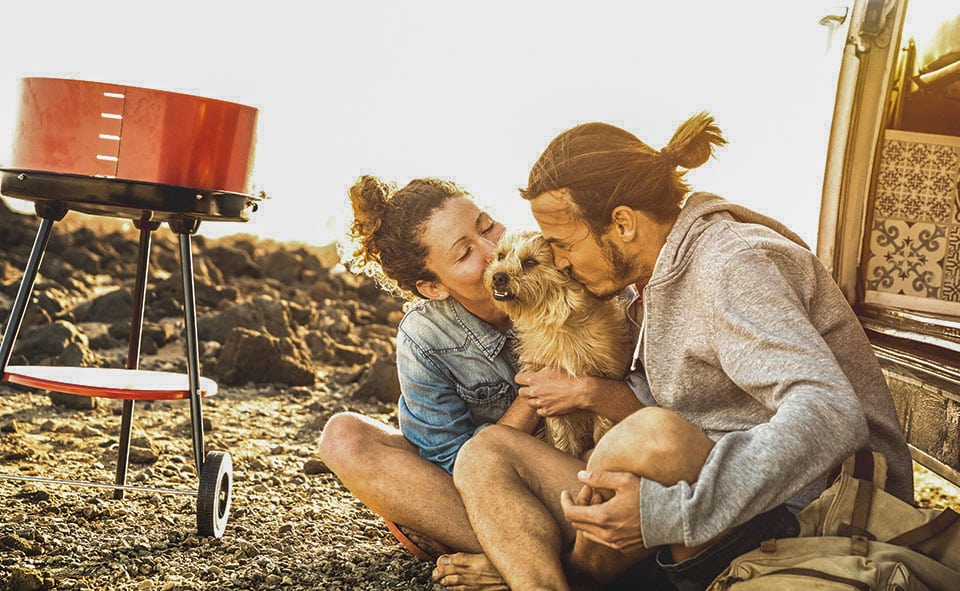 En camping-car avec chien