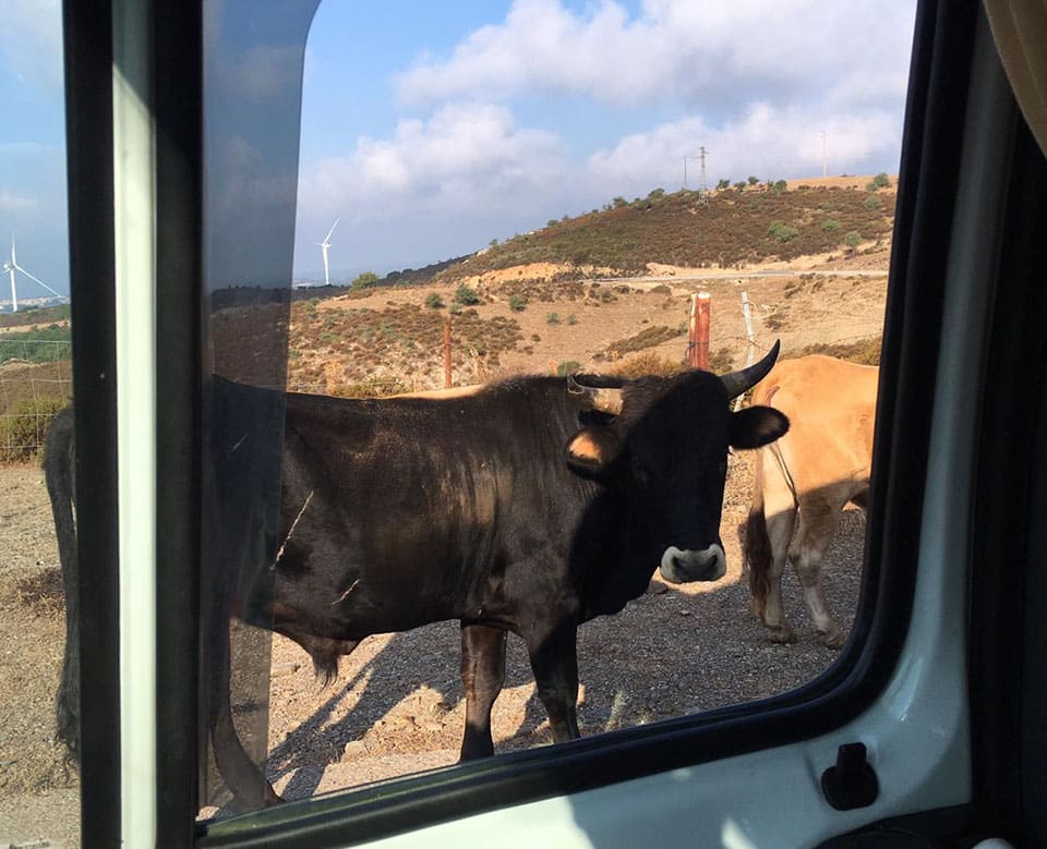 Viaggiare in camper